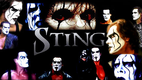 Sting copy.jpg